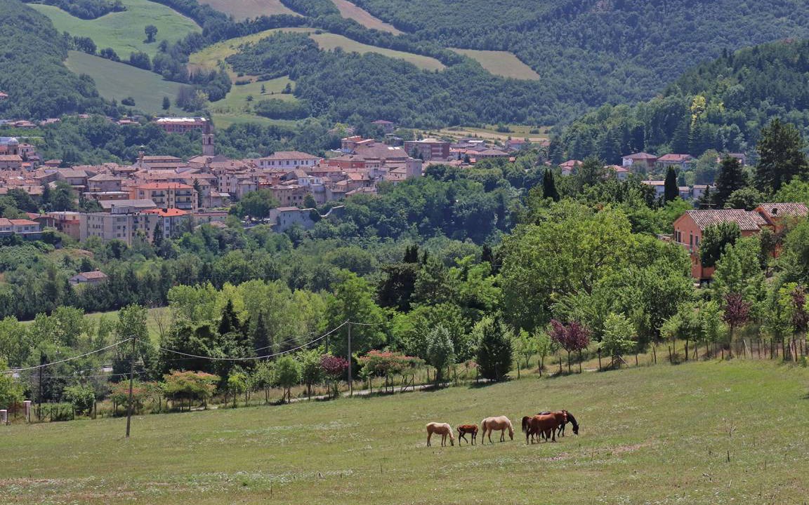 Photo of Others in Cagli