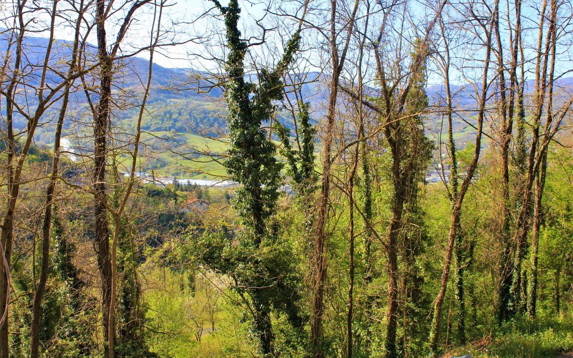 Photo of Others in Borgo Val di Taro