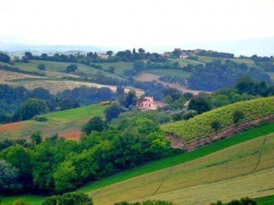 Photo of Others in Stacciola