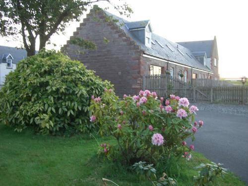 Photo of Buildings in Kippen