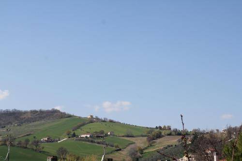 Photo of Others in Moie