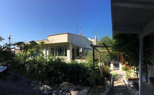 Photo of Others in Tremiti Islands