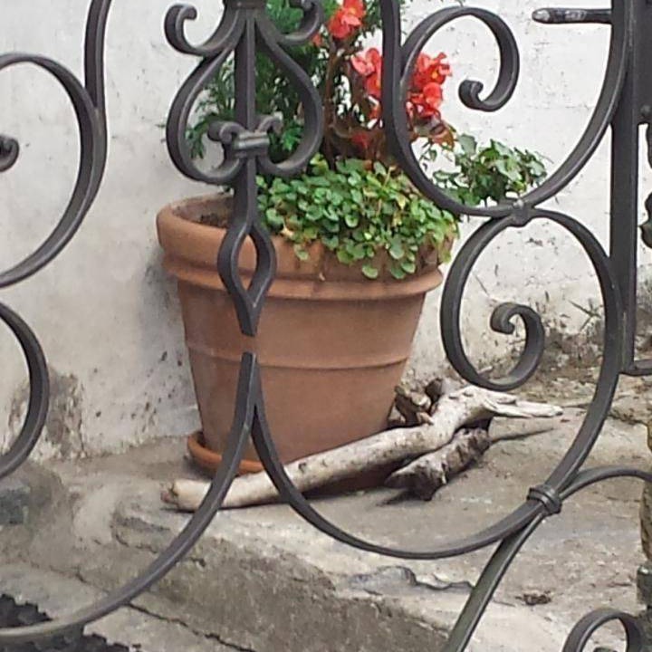 Photo of Others in Aurigeno