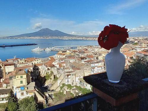 Photo of Others in Castellammare di Stabia
