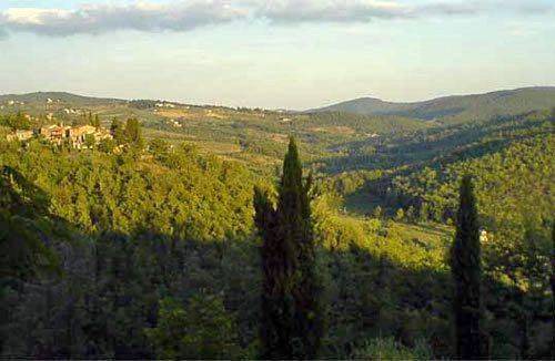 Photo of Others in San Pietro in Bossolo