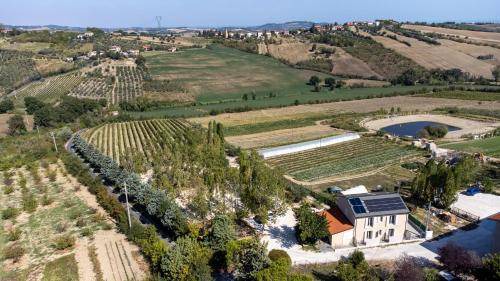 Photo of Others in Patrignano