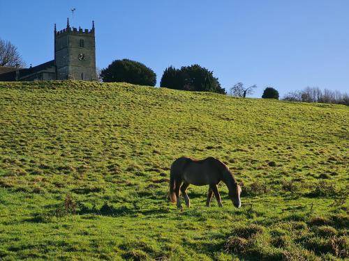 Photo of Others in Chipping Sodbury