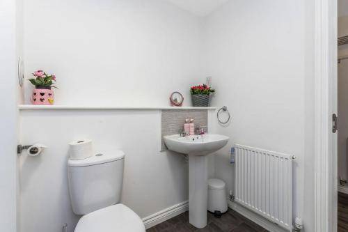 Photo of Others in Bonnybridge