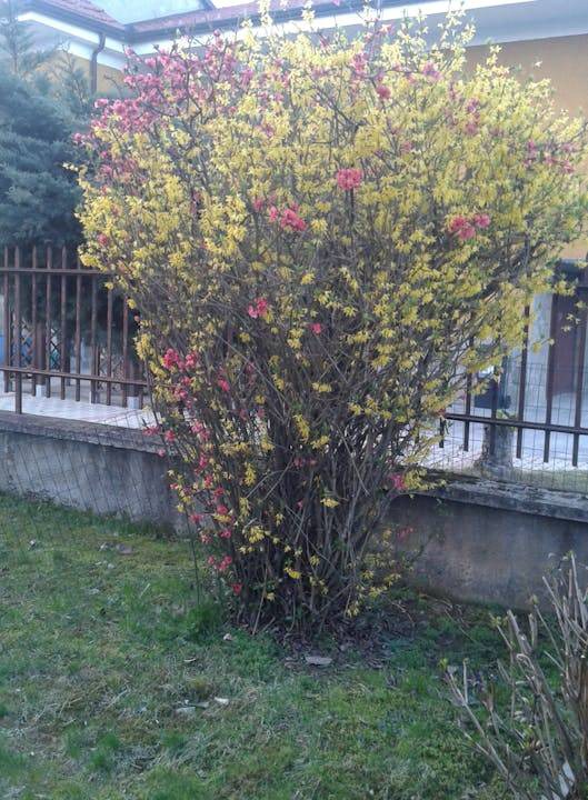 Photo of Others in Candiolo