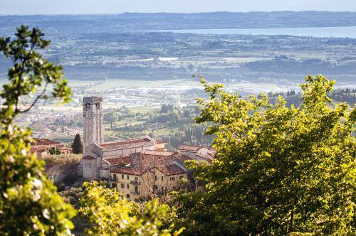 Photo of Others in San Giorgio di Valpolicella