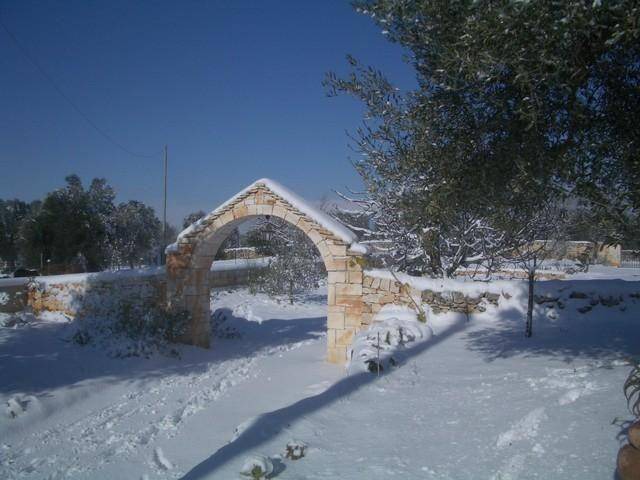 Photo of Others in Casalini