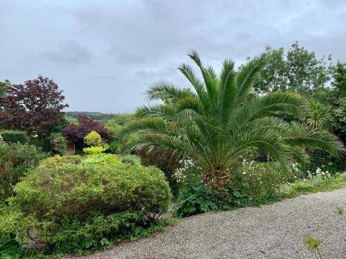 Photo of Outdoor in Lelant