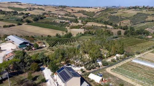 Photo of Others in Patrignano
