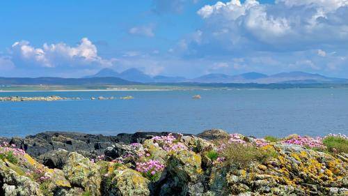 Photo of Others in Kilchoman