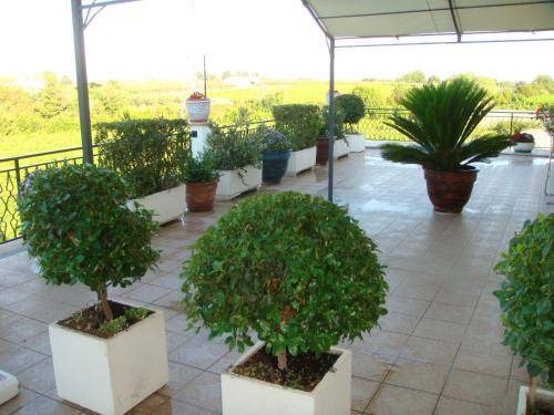 Photo of Others in Fossacesia