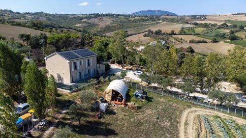 Photo of Others in Patrignano