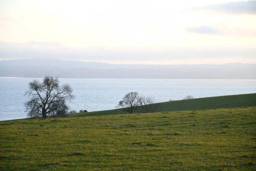 Photo of Others in Carrickfergus