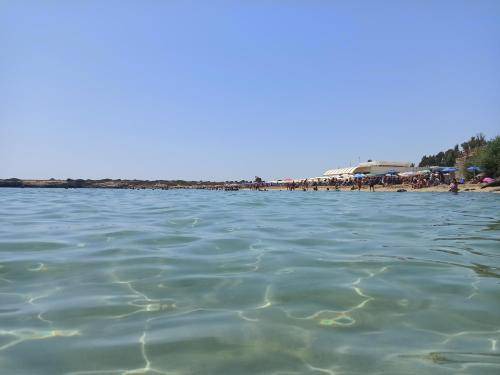 Photo of Others in Arenella