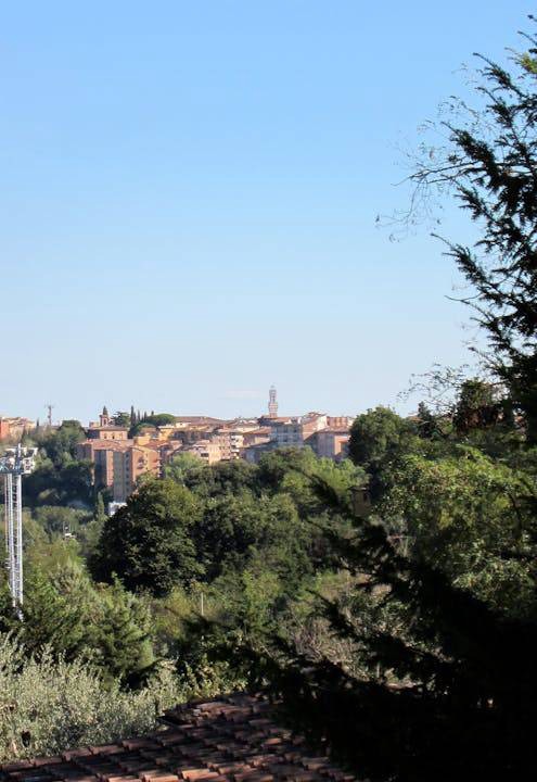 Photo of Others in Siena