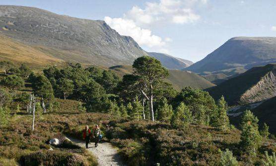 Photo of Others in Grantown-on-Spey