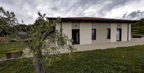 Photo of Others in Trivento
