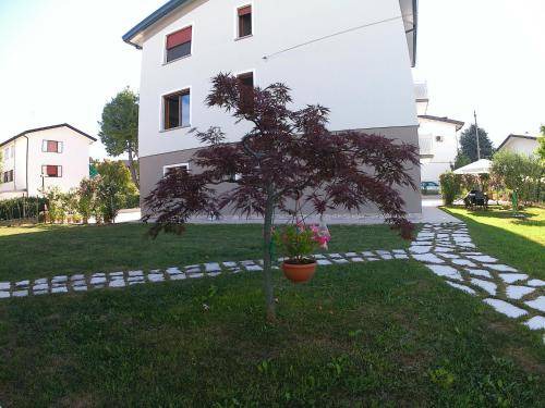 Photo of Others in Favaro Veneto