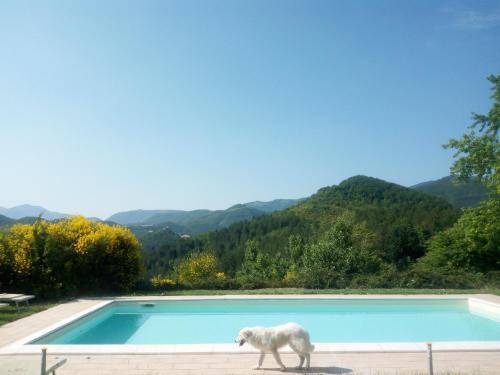 Photo of Others in Acqualagna