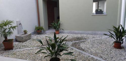 Photo of Others in Omegna