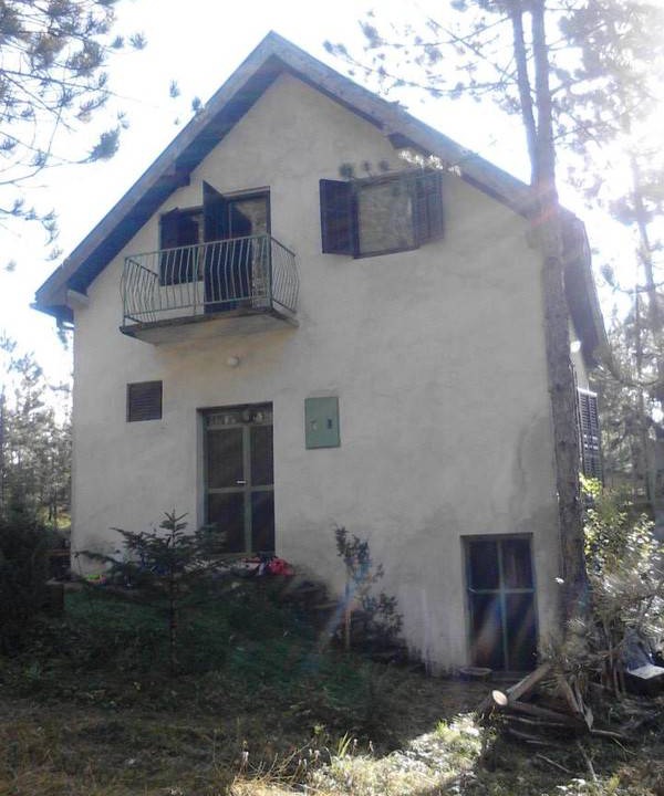 Photo of Others in Bajina Basta