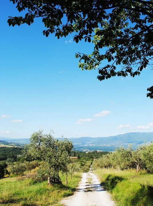 Photo of Others in Figline e Incisa Valdarno