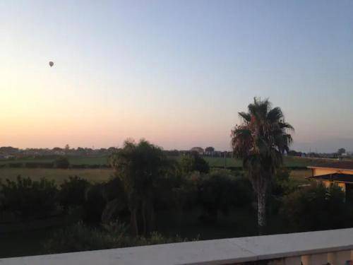 Photo of Others in Paestum
