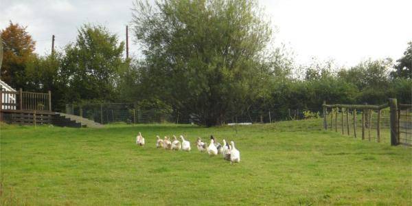 Photo of Others in Mayfield