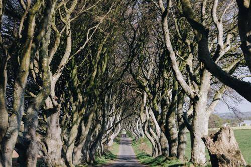 Photo of Others in Armoy