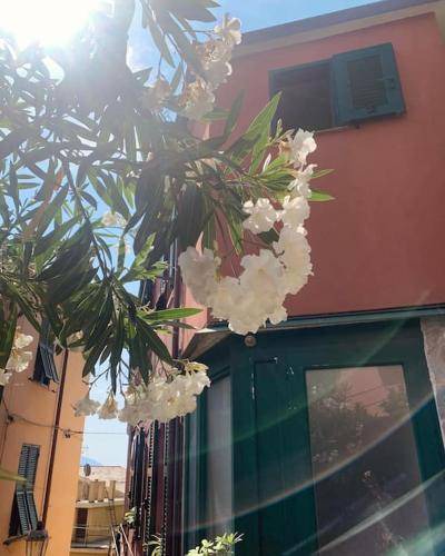 Photo of Others in Borgo Antico