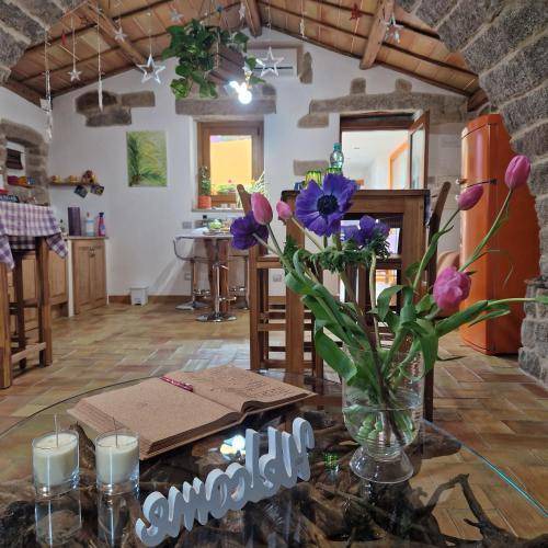 Photo of Kitchen in Tempio Pausania