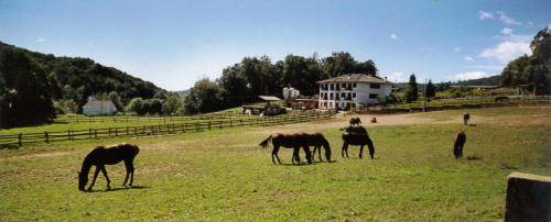 Photo of Others in Rueglio