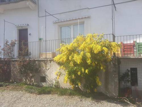 Photo of Others in Cerrione
