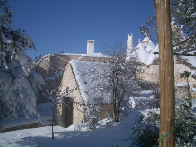 Photo of Others in Casalini