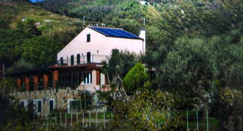 Photo of Others in Cinque Terre