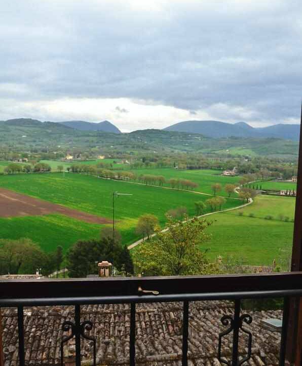 Photo of Others in Spello