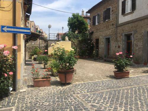 Photo of Others in Canale Monterano