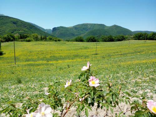 Photo of Others in Acqualagna