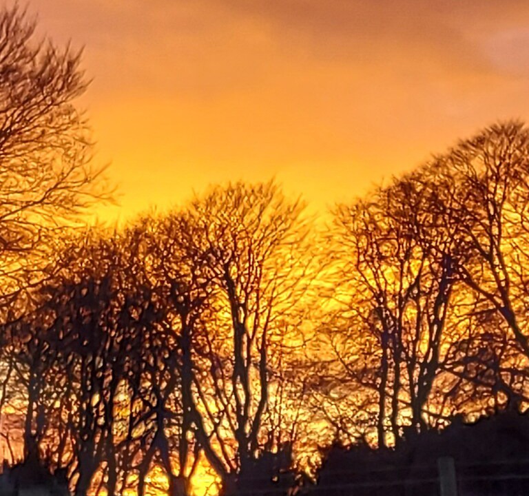 Photo of Outdoor in Montrose