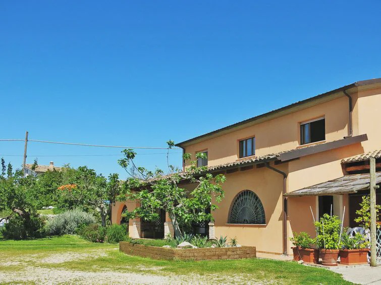 Photo of Others in Collecorvino