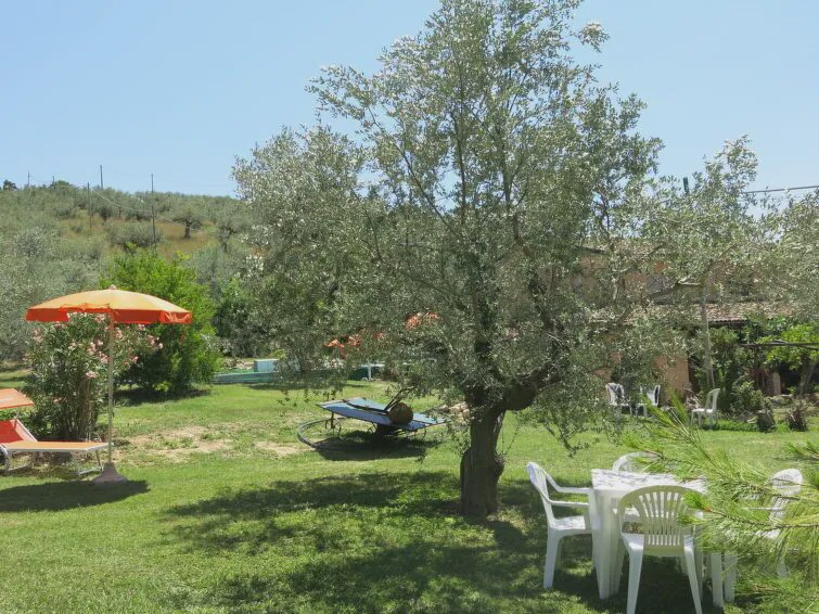 Photo of Others in Collecorvino