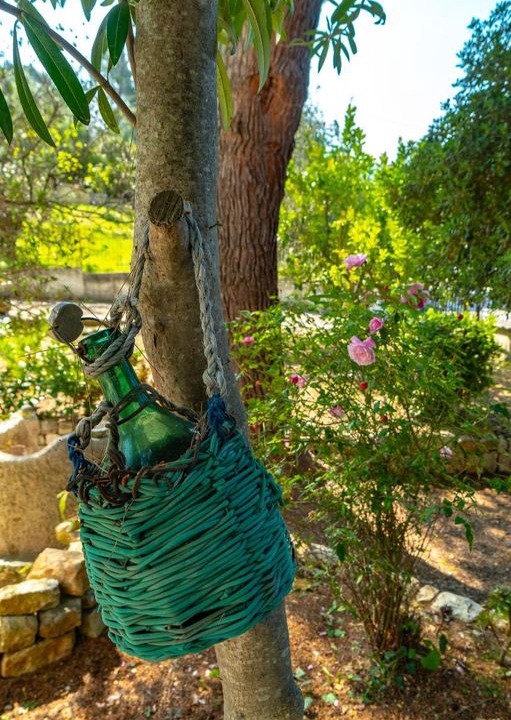 Photo of Outdoor in Vico del Gargano