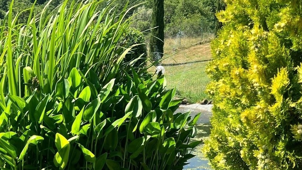 Photo of Outdoor in Lisciano Niccone