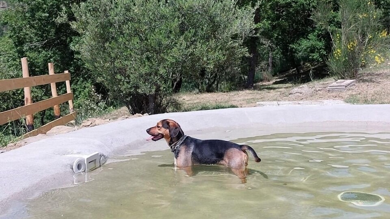 Photo of Others in Lisciano Niccone