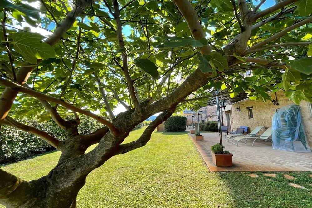 Photo of Outdoor in Limiti