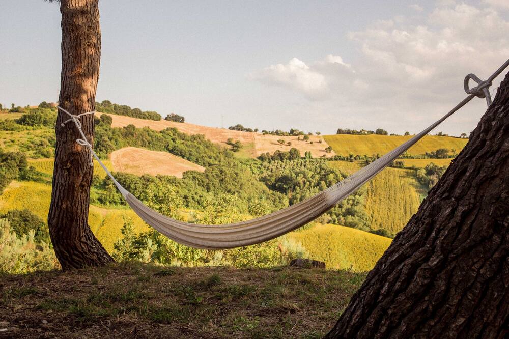 Photo of Others in Monterubbiano